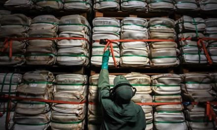 Brasil atinge marca de 450 mil toneladas de embalagens vazias de defensivos agrícolas corretamente destinadas