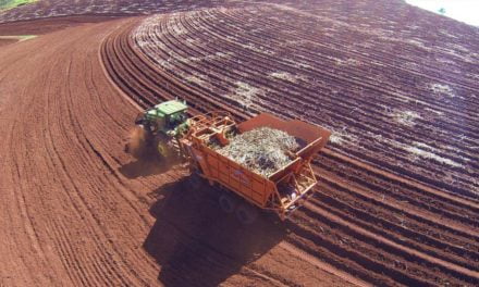 Usina Guaíra adota práticas agrícolas que garantem bons resultados no plantio