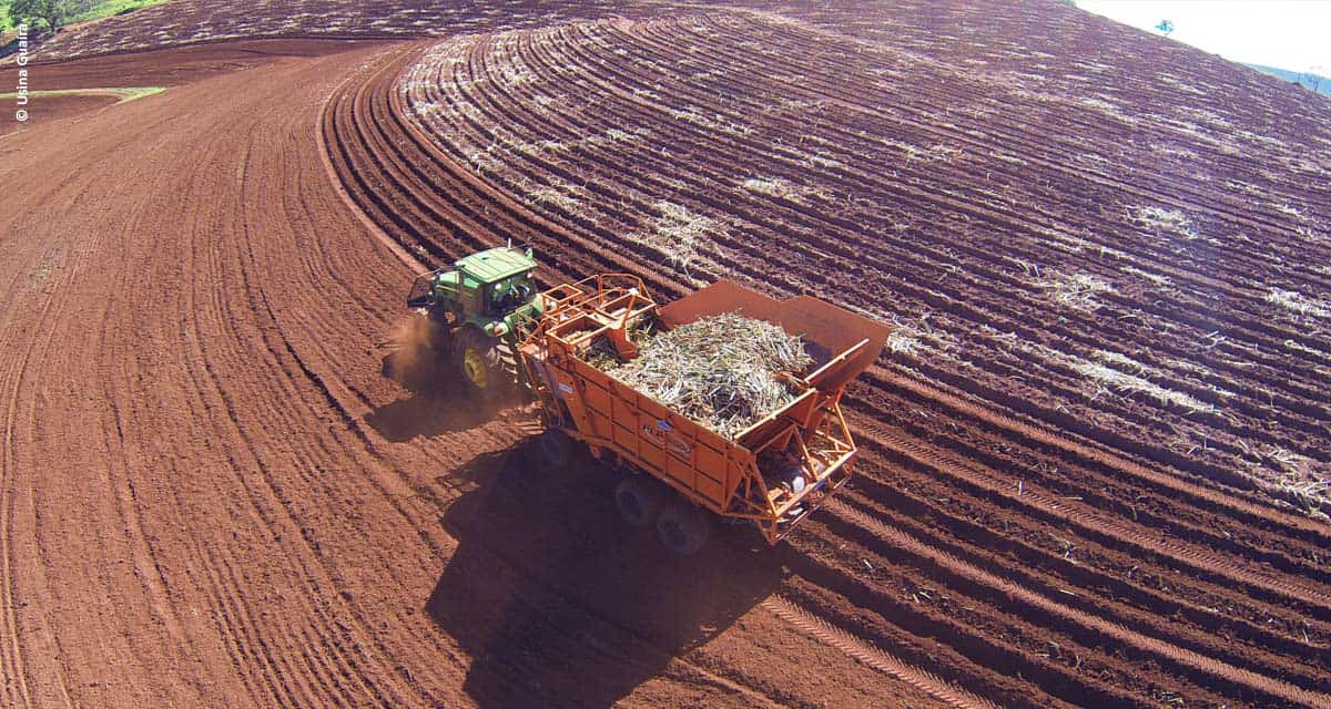 Usina Guaíra adota práticas agrícolas que garantem bons resultados no plantio