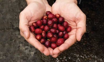 Yara divulga vencedores do Concurso NossoCafé