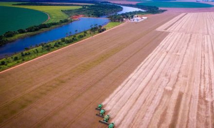 Bayer inaugura primeira fazenda do projeto ForwardFarming no Brasil