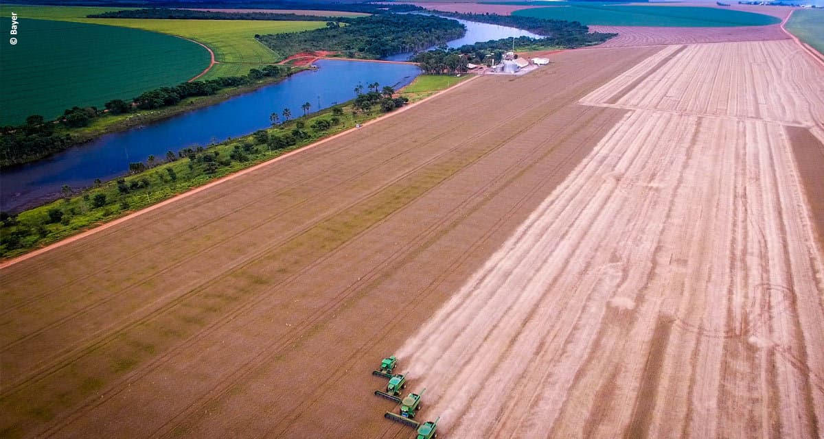 Bayer inaugura primeira fazenda do projeto ForwardFarming no Brasil