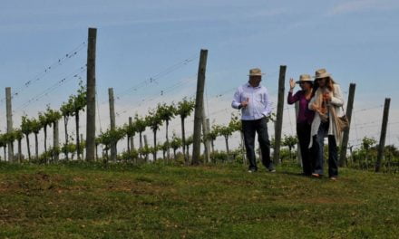 Brasil se prepara para integrar Dia Mundial do Enoturismo