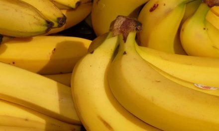 Manejo equilibrado de cálcio eleva produtividade da banana