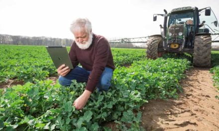 Desafios e oportunidades, ética, inovação e eficiência do setor agrícola