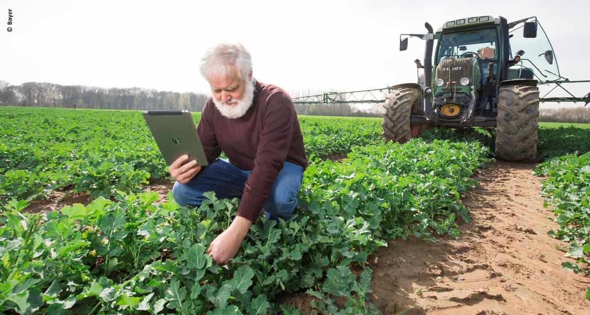 Desafios e oportunidades, ética, inovação e eficiência do setor agrícola