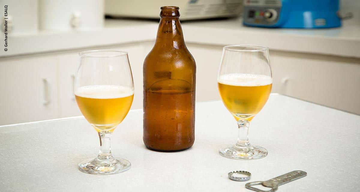 Leveduras brasileiras resultam em cerveja especial de alta qualidade