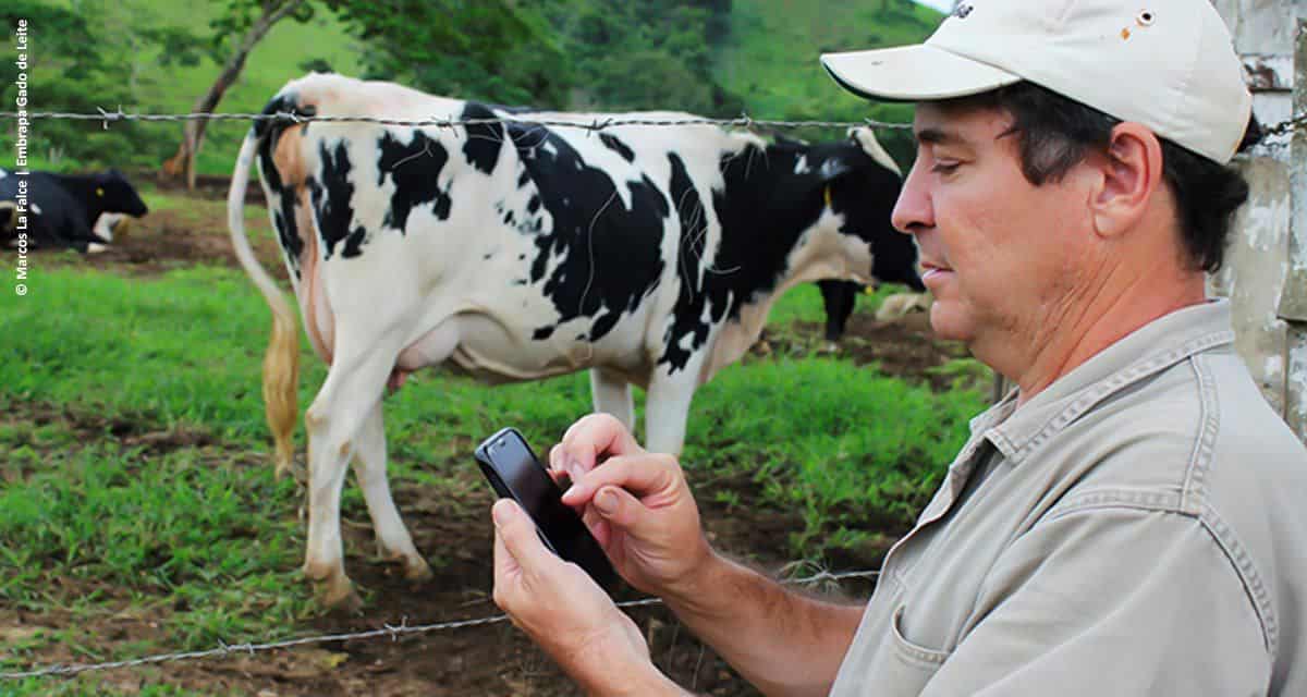 Embrapa lança aplicativo para gerenciamento de fazendas leiteiras
