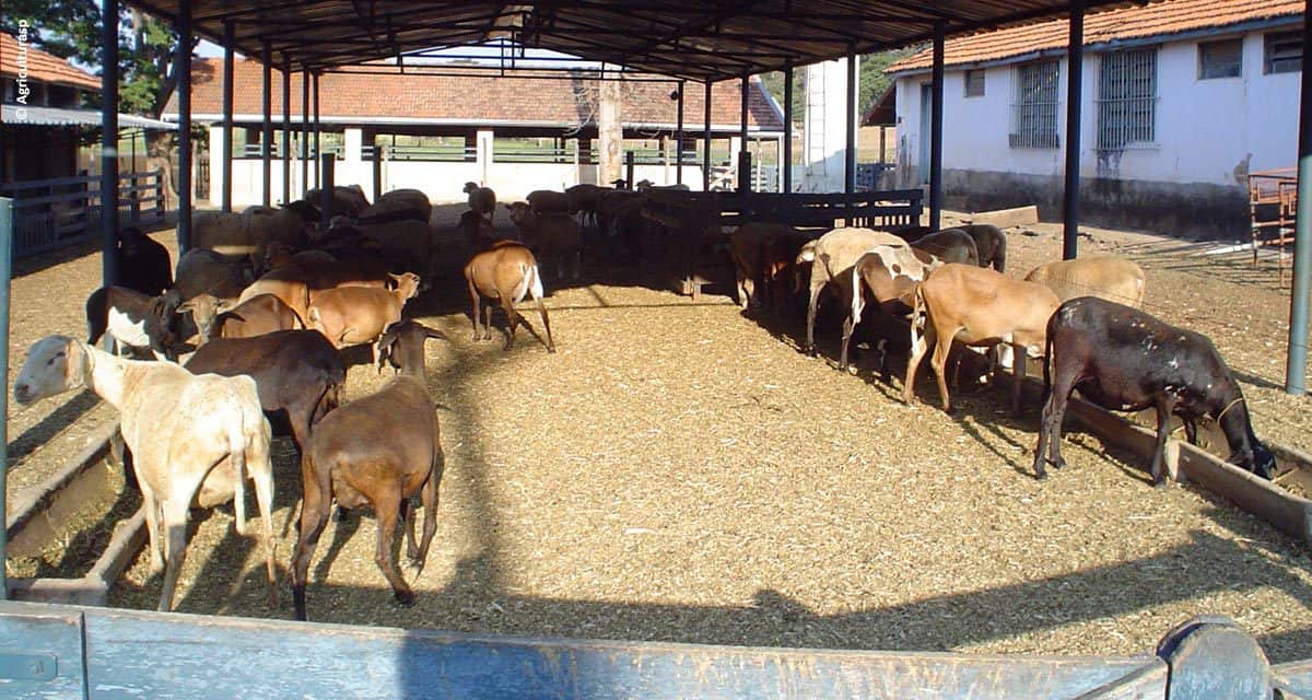 Um mercado em espera