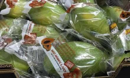 Braskem se une com produtores para o desenvolvimento de embalagens para exportação de frutas