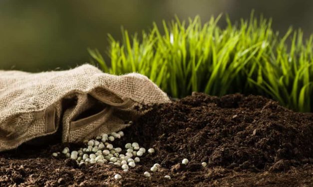 Os fertilizantes colaboram com  o ciclo do carbono na natureza, essencial à vida do ser humano