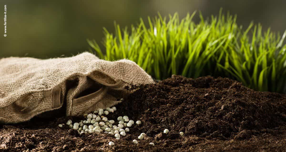 Os fertilizantes colaboram com  o ciclo do carbono na natureza, essencial à vida do ser humano