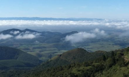 Projeto discute soluções baseadas na natureza