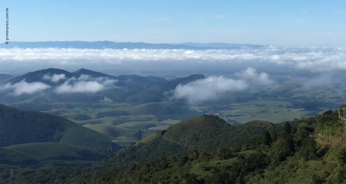 Projeto discute soluções baseadas na natureza