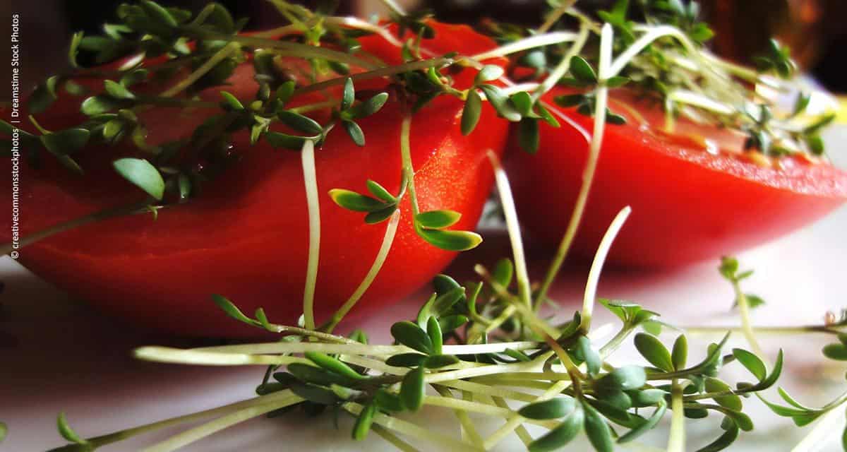 ANUFOOD Brazil, versão nacional da maior feira de alimentos do mundo, acontece dentro de um ano