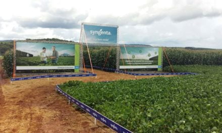 Estação do Conhecimento Syngenta leva ao campo profissionais treinados em promover alta produtividade às lavouras