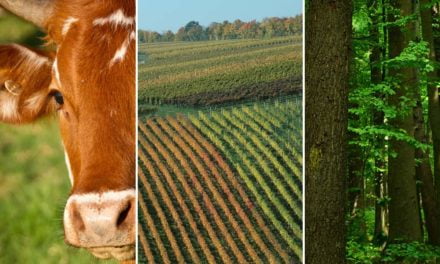 Tecnologia integrando lavoura, pecuária e floresta