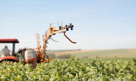 Mais biodiesel adicionado ao diesel é a nova oportunidade para agricultura familiar no RS