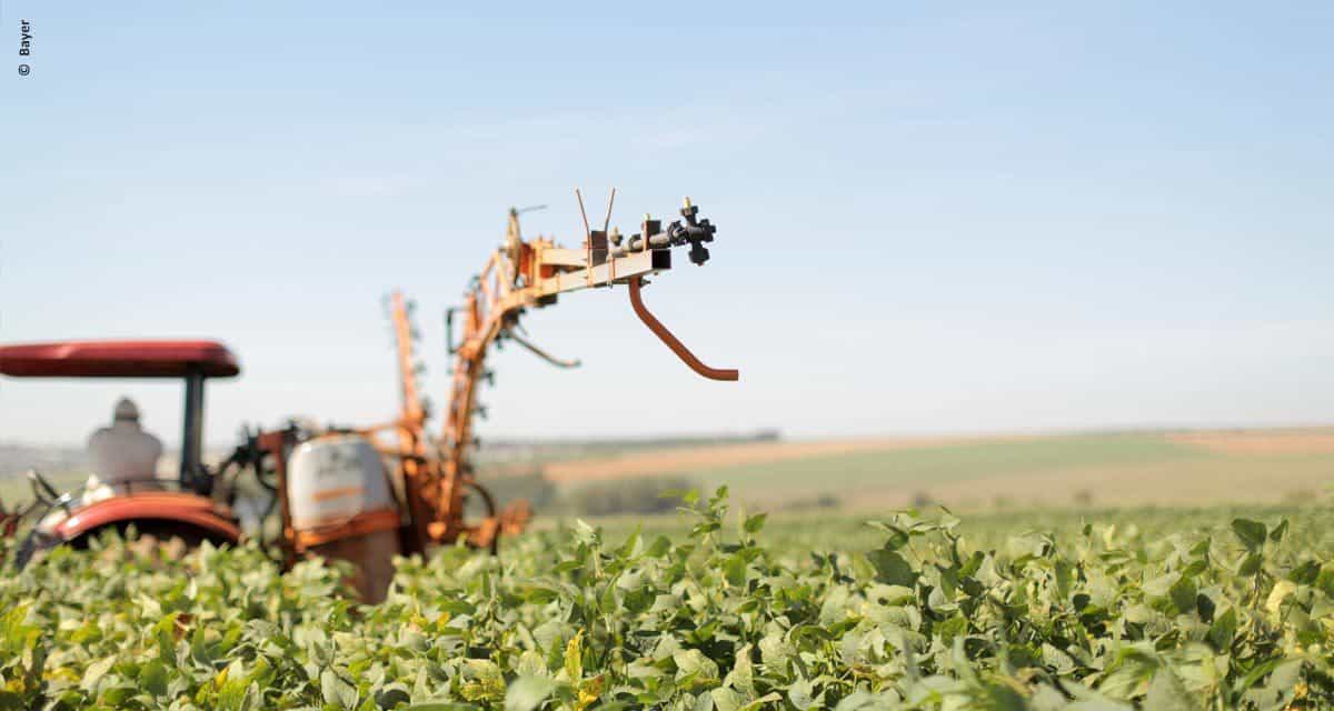 Mais biodiesel adicionado ao diesel é a nova oportunidade para agricultura familiar no RS