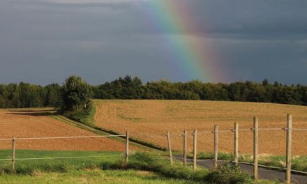 Novos tempos da meteorologia no campo