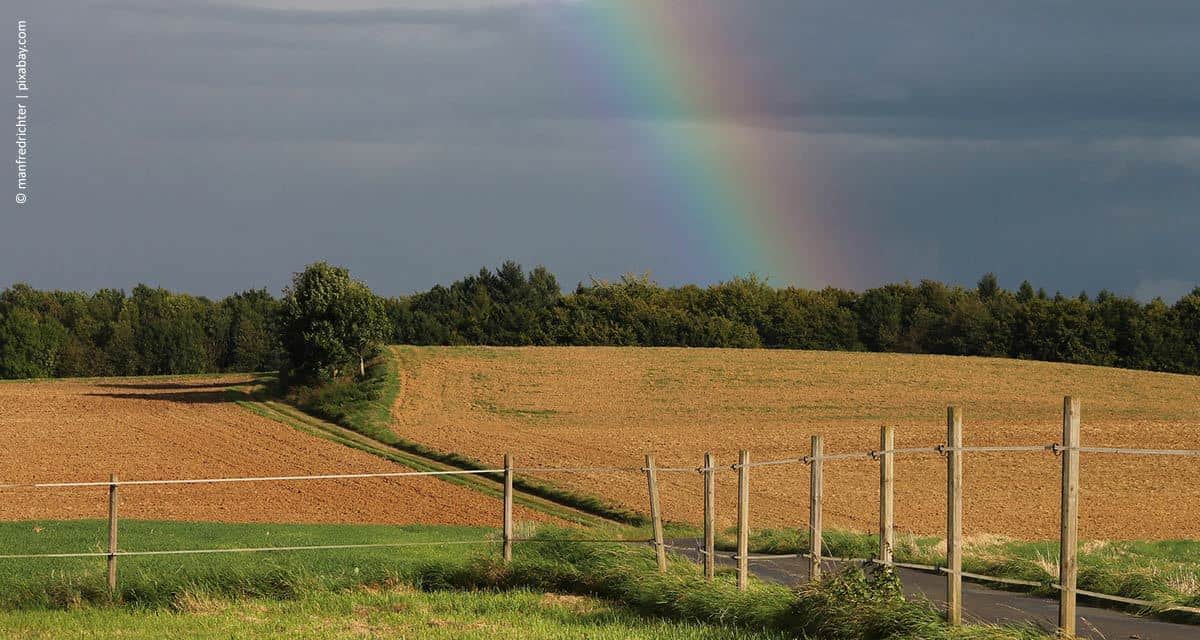 Novos tempos da meteorologia no campo