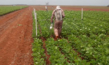 Sistemas de alerta contra a ferrugem da soja