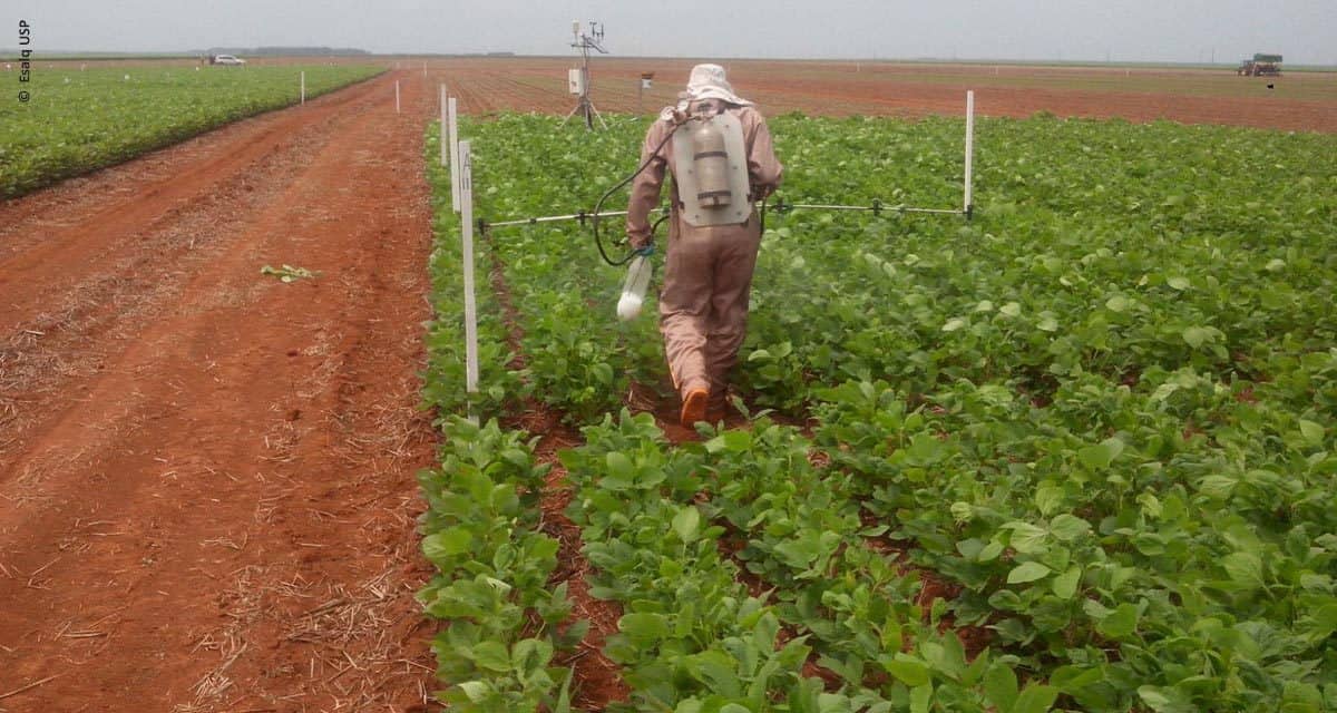 Sistemas de alerta contra a ferrugem da soja