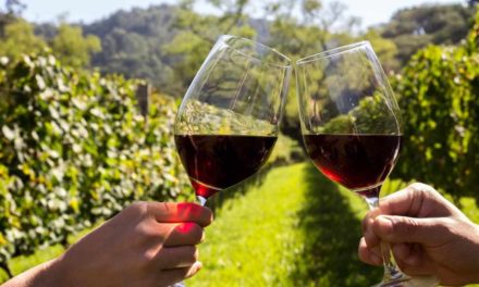 Dia do Vinho 2018 chega com atrações espalhadas por três regiões do Brasil