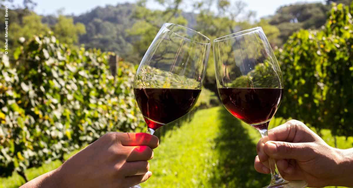 Dia do Vinho 2018 chega com atrações espalhadas por três regiões do Brasil