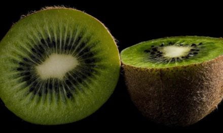 Clima afeta produção de kiwi em Caxias do Sul (RS)