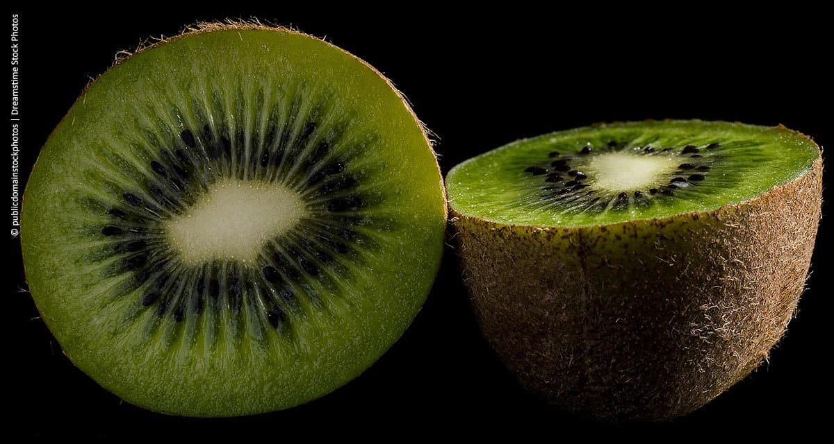 Clima afeta produção de kiwi em Caxias do Sul (RS)