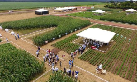 Nova linha de fertilizantes biológicos é apresentada a produtores de grãos