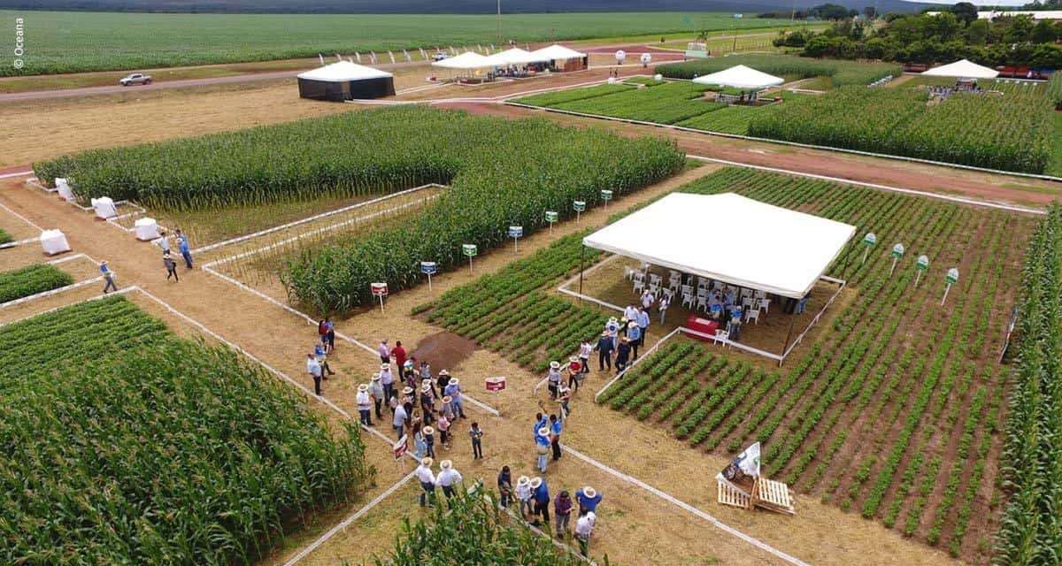 Nova linha de fertilizantes biológicos é apresentada a produtores de grãos