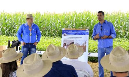 Mais tecnologia para os produtores do Piauí