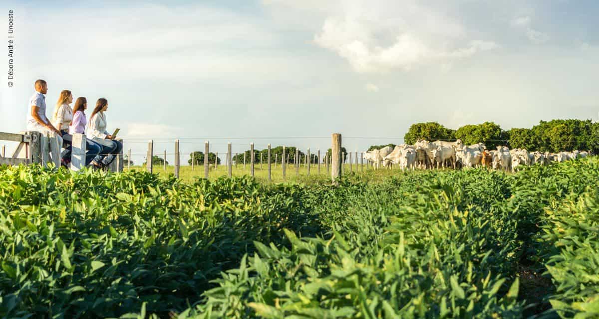 Investimento milionário na produção sustentável