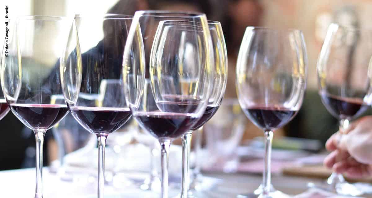 Projeto Comprador reforça oportunidades de negócios para o vinho brasileiro