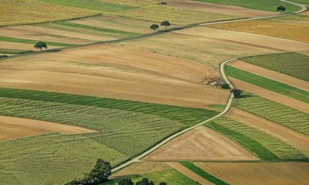 Agro sem tecnologia e gestão não é negócio