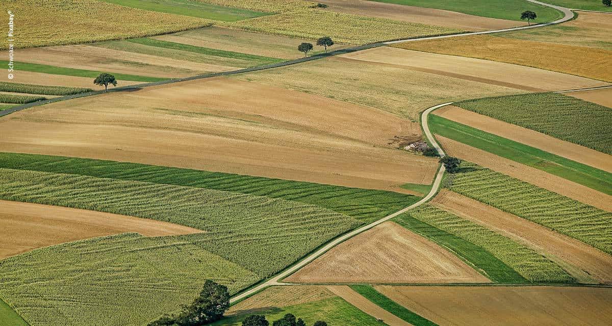 Agro sem tecnologia e gestão não é negócio