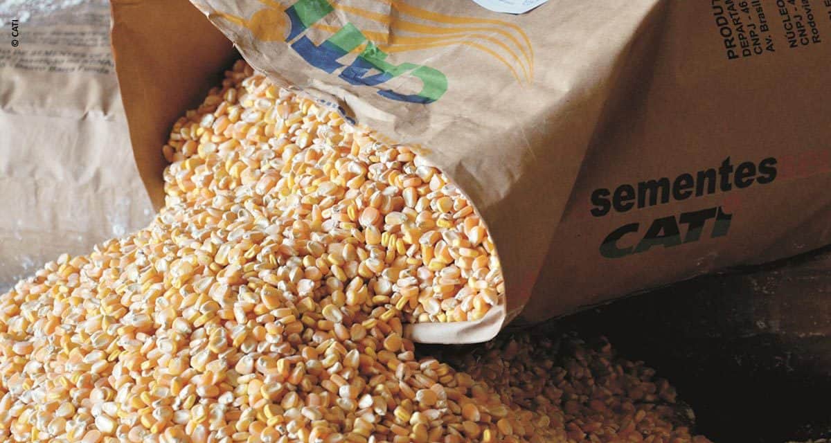 CATI antecipa venda de grãos em prol dos produtores paulistas afetados pela paralisação dos caminhoneiros