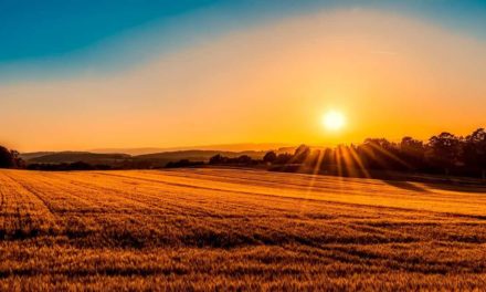 O agro conquistará mais de 1,2 trilhão de dólares em dez anos