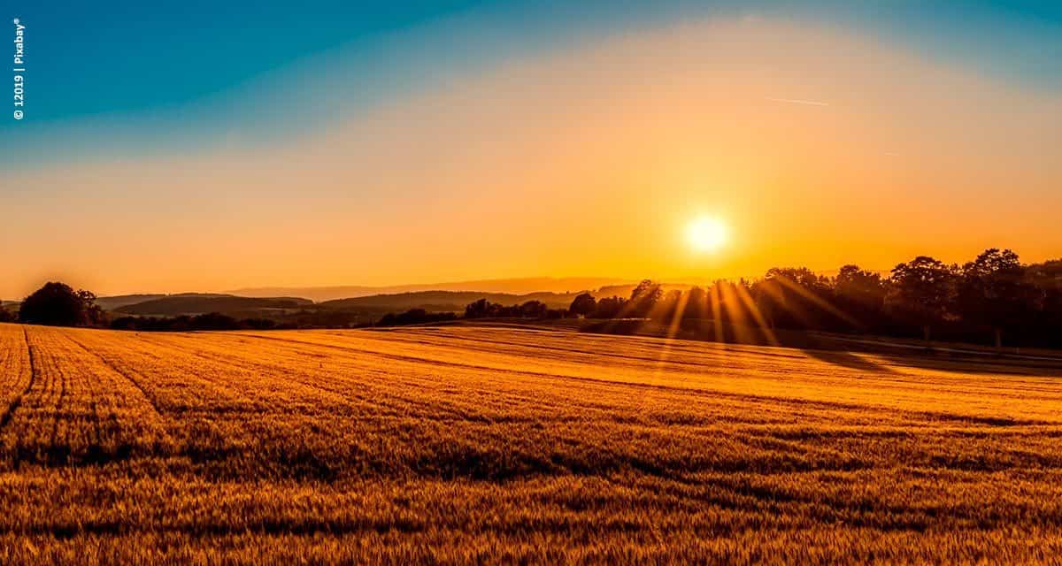 O agro conquistará mais de 1,2 trilhão de dólares em dez anos