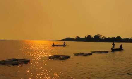 Brasil inicia o maior projeto de pesquisa já elaborado para desenvolver a aquicultura