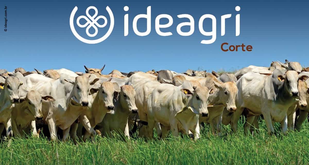 Ideagri Corte: lançamento no Fórum da Pecuária Lucrativa