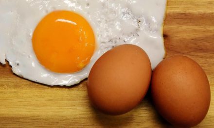 Ovos: mais produtividade, valor nutricional e validade