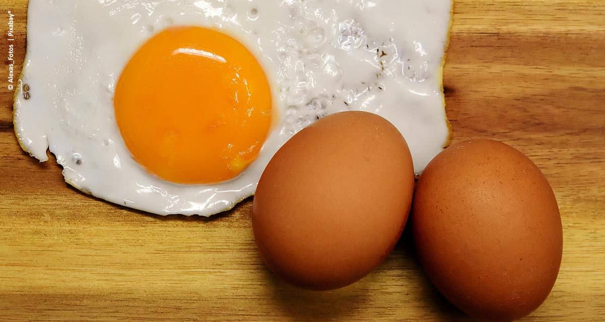 Ovos: mais produtividade, valor nutricional e validade