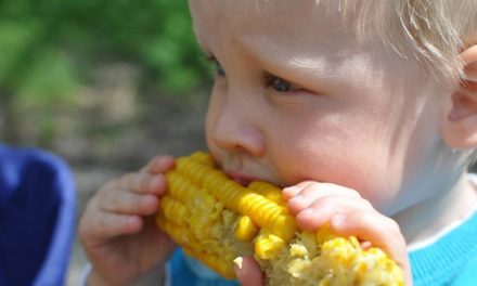 Brasil no centro da demanda mundial de alimentos