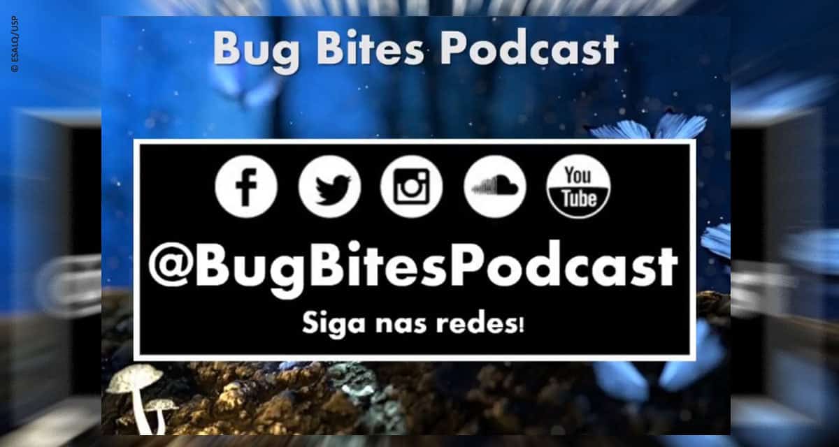 Bug Bites, divulgando a ciência dos insetos