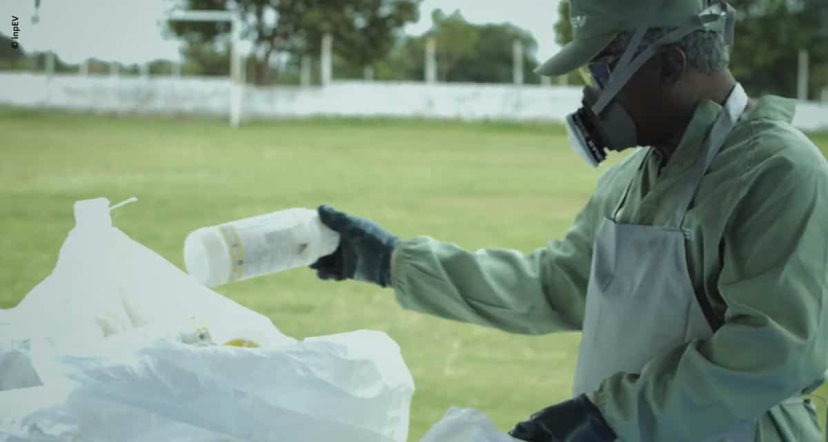 Brasil comemora 14ª edição do Dia Nacional do Campo Limpo