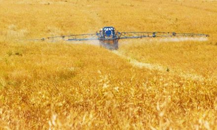 Syngenta se posiciona publicamente sobre o projeto de lei que propõe mudanças na regulamentação de agrotóxicos no Brasil