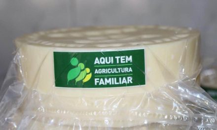 Denominação dos queijos produzidos na Serra da Mantiqueira é debatida durante seminário